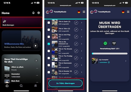 Se usi Tidal da poco, sicuramente hai playlist su altre piattafrome. Portale con te.