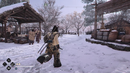 A Yasuke non dispiace la temperatura gelida e riesce a nuotare anche in inverno.