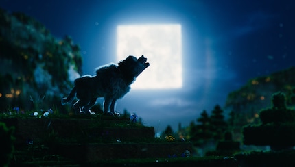 Una luna quadrata. Ha ha. Sì, ok, ovviamente non sono il pubblico di riferimento.