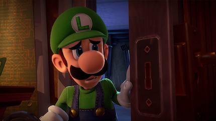 Le animazioni e le espressioni facciali di Luigi sono fantastiche.