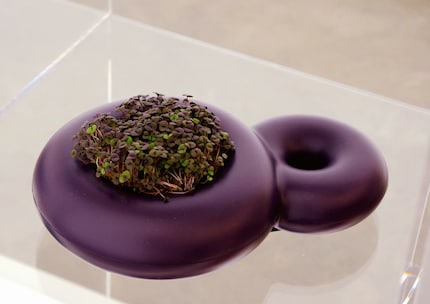 Bloom di Sabine Marcelis x XL Extralight®.