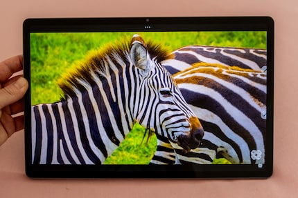 I video sono meravigliosi sullo schermo LCD e l'audio è davvero notevole.