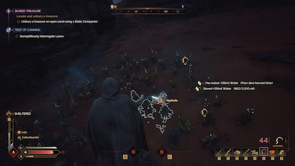If you have the right tools, you can extract water from plants.
