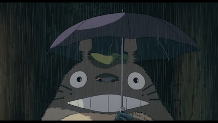 Totoro è meravigliosamente brontolone, affettuoso e magico.