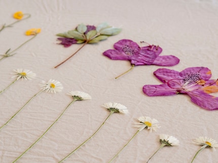 Laying out your flowers helps you get a sense of their different colours and shapes.