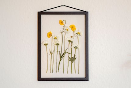 I’ve captured the summer and immortalised it on my wall.