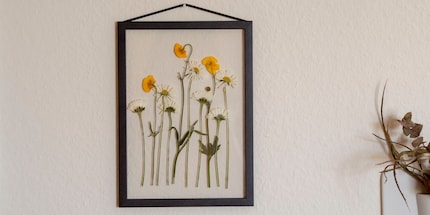 I fiori secchi dicono più di mille parole.