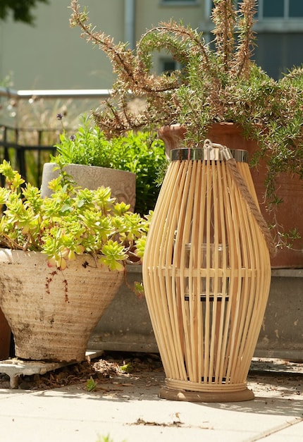 The bamboo slats create mystical shadow patterns on the wall.