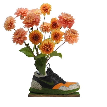  Ecco come potrebbe essere il ritiro delle tue vecchie scarpe da ginnastica.