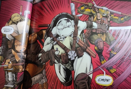 New Turtles take over in Re-Evolution.