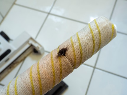 Although hair wraps around the roller, it doesn’t prevent it from rotating.