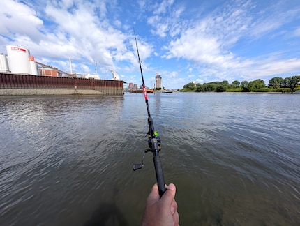 In the middle of it all instead of just a tourist tour: fishing in the Elbe, right in the harbour.