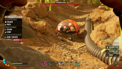 The peep mode shows me the weaknesses of my opponents.