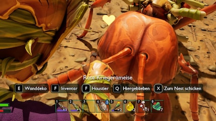 «wall decoration» and «pet» - something has gone wrong.