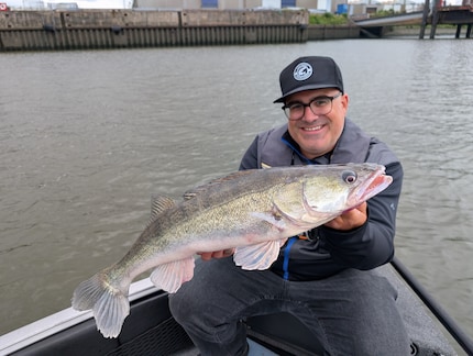 A zander caught in the port of Hamburg.