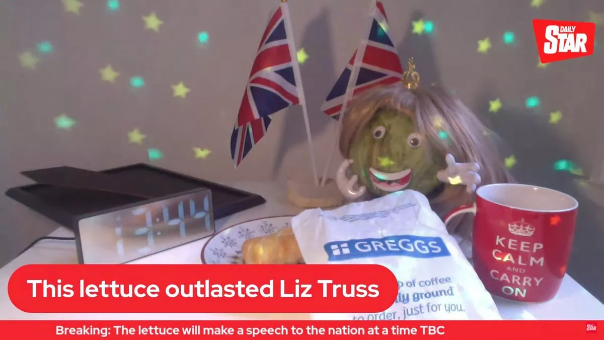This lettuce is also an important part of the webcam story.