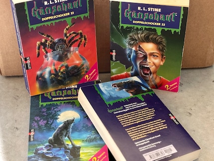 I libri «Goosebumps» raccontano storie horror per bambini e sono stati anche la mia introduzione a questo amato genere.