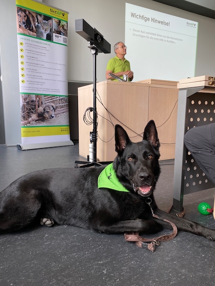 Service dog Qaio is always at Enrico Clavadetscher’s side during the first aid courses.