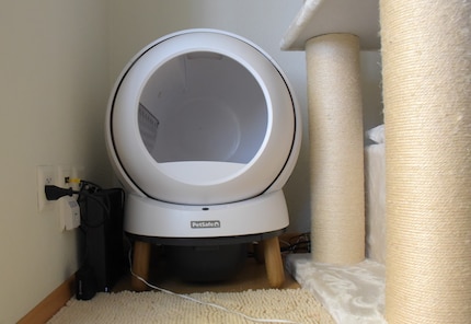 The litter box looks fine from a distance.