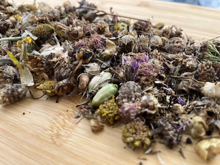 Il mio raccolto è impressionante: silene dioica, ginestrino, viperina, margherite e così via...