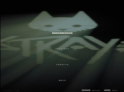Stray’s distorted display