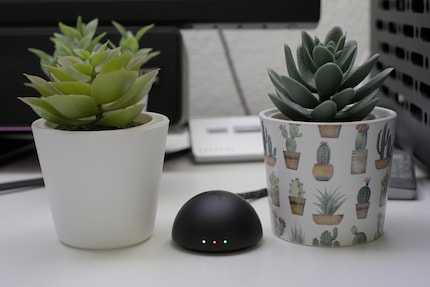 Il dongle da 8000 hertz, dotato di LED configurabili che segnalano informazioni diverse, questa volta è in dotazione.