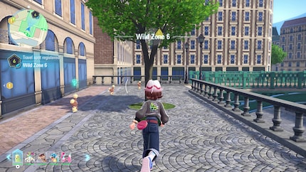 Hier laufen Pokémon frei herum.