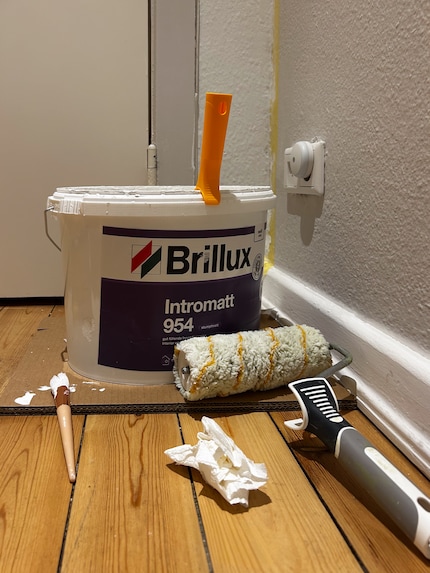 Brillux vs. Anna von Mangoldt: Who will win?
