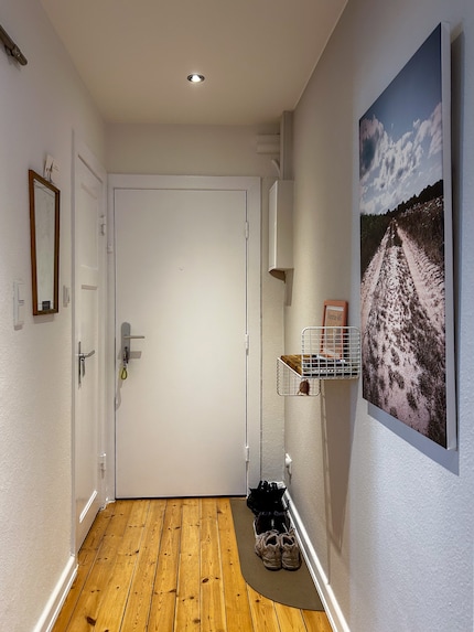 The hallway afterwards: The right-hand wall is Architect's Delight grey. I then painted the doors in white.