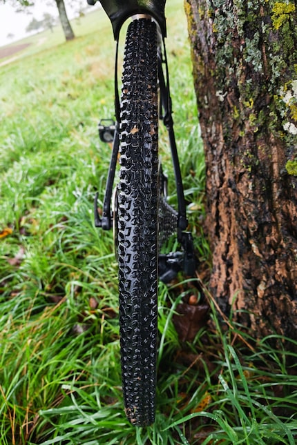 Il profilo del Wolf Pro Tubeless di Zleen.