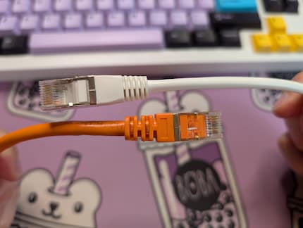 Il cavo Cat 7 arancione è leggermente più spesso. A seconda della lunghezza, anche i cavi Cat 6 vanno bene per 10 Gbit/s.