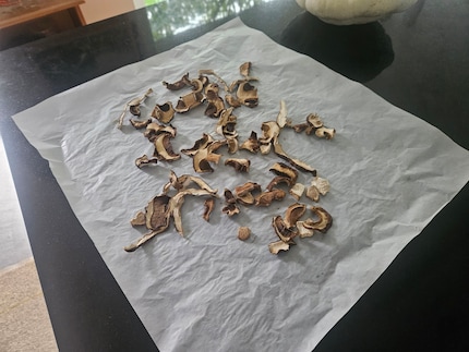 I nostri porcini si stanno essiccando.