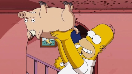 Homer solleva il maiale ragno: una scena assurda che ha fatto la storia dei Simpson.