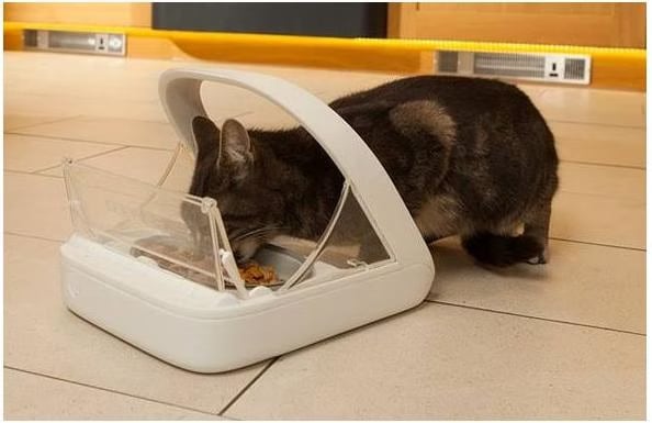 Ciotola Anti Ingozzamento Per Gatti In Melamina - Design A Labirinto | Alimentazione Lenta E Divertente