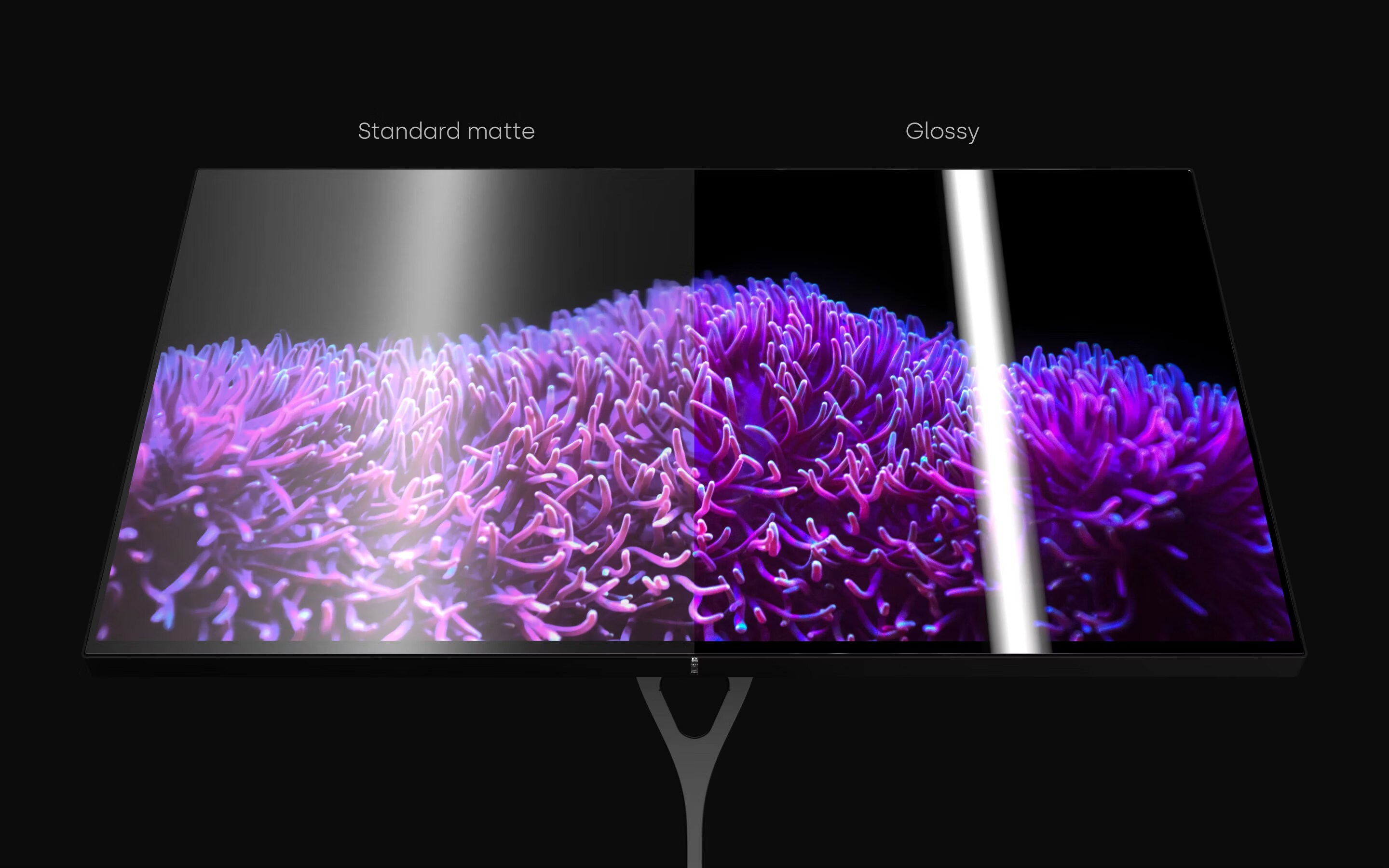 087b044b-1463-4296-802c-