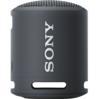 Sony SRS-XB13 (16 h, Rechargeable battery operated)